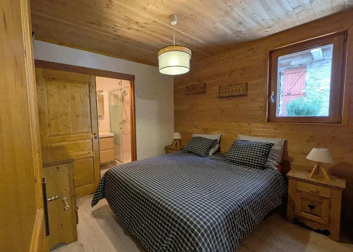 Atypique Avec Cheminee Et Parking Au Centre De Montalbert - Fr-1-755-46 Apartment *